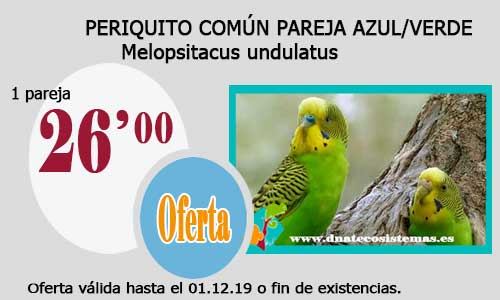 Ofertas válidas hasta el 1 de diciembre de 2019 Periqu12