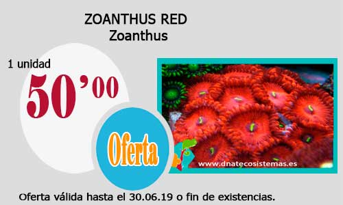 Ofertas válidas hasta el día 30.06.2019 Zoanth10