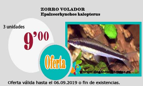 Ofertas válidas hasta el 6 de Septiembre de 2019 Zorro-11