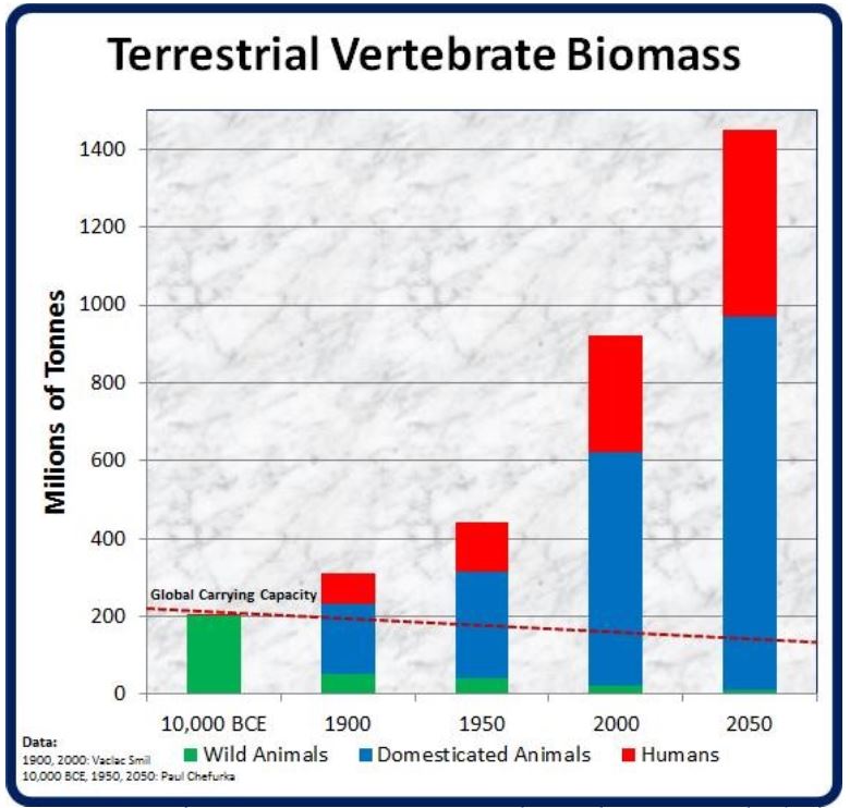 Surpopulation et écologie  Biomas10