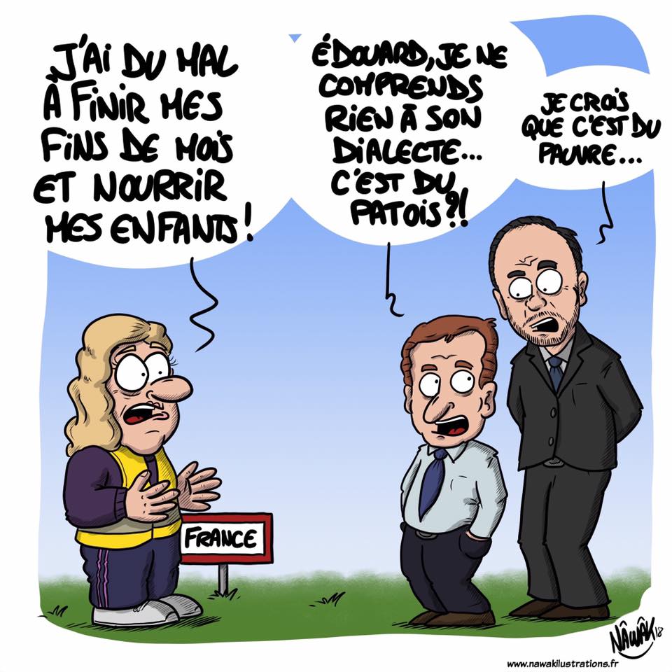 La France de M. Macron - Page 38 Dialec10