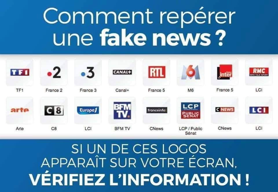 " les journalistes, sale engeance ? " - Page 8 Fake_n10