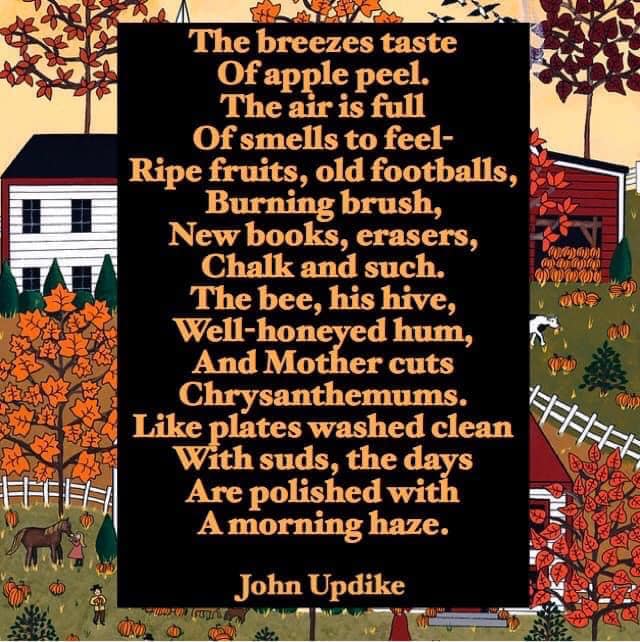 John Updike John_u10