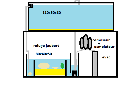 Bac 320l - Mini Récif Tropical Projet10