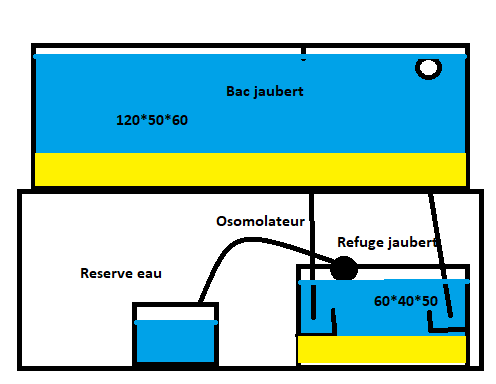 Bac 320l - Mini Récif Tropical Untitl11