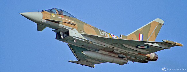 [Revell] Eurofighter Typhoon "100 ans RAF" 1a-hn-10