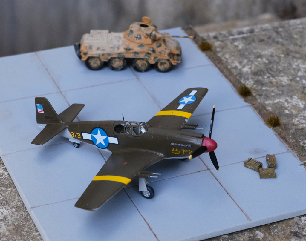 [Condor] P-51 Mustang MkIa "Betty Jean" [FINI] Dscf1110