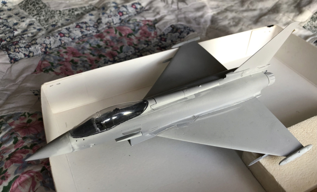 [Revell] Eurofighter Typhoon "100 ans RAF" [TERMINE] Img_6223