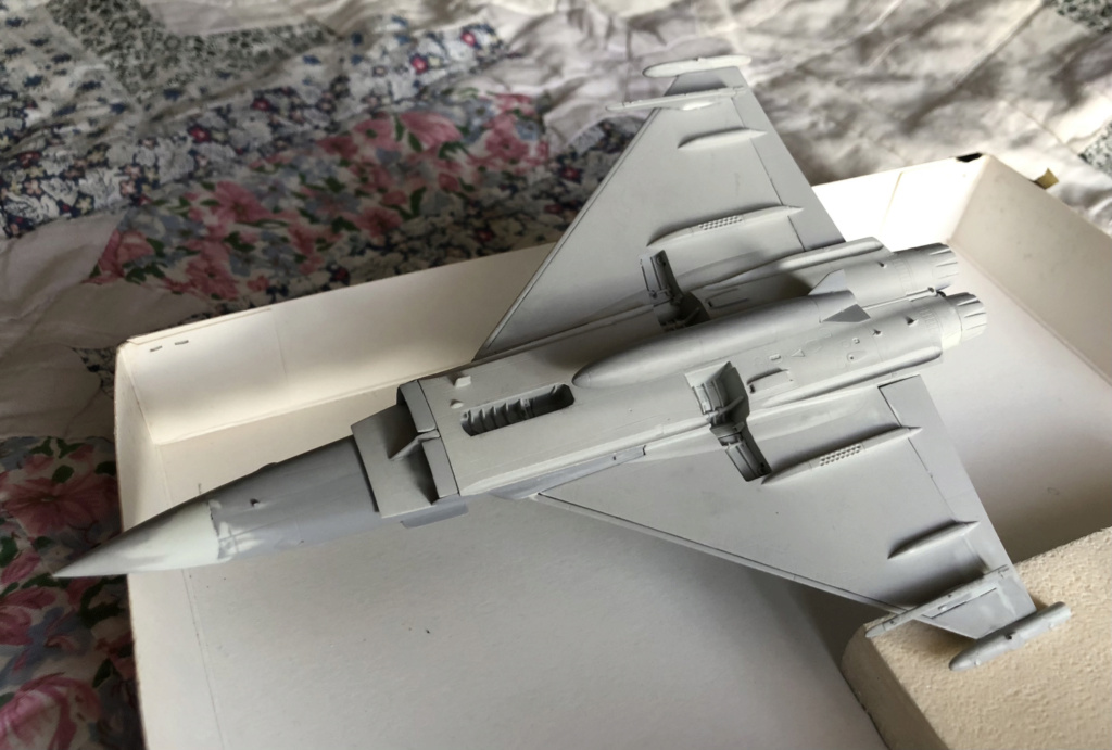 [Revell] Eurofighter Typhoon "100 ans RAF" [TERMINE] Img_6224