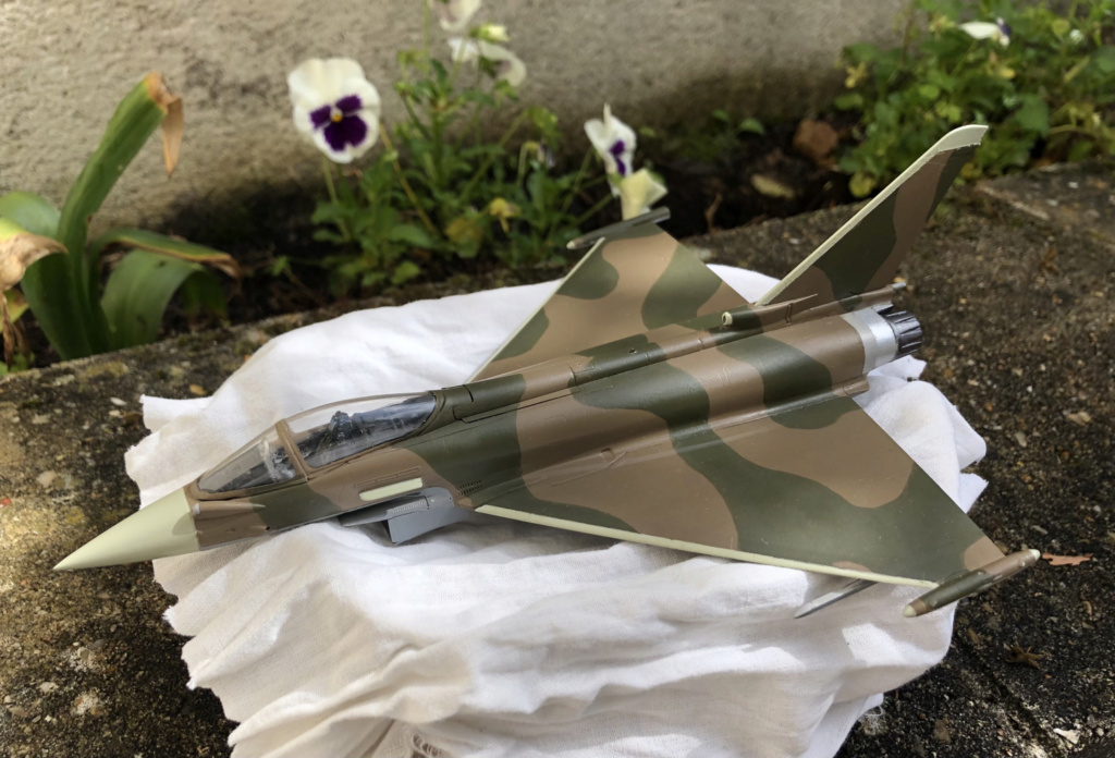 [Revell] Eurofighter Typhoon "100 ans RAF" [TERMINE] Img_6233