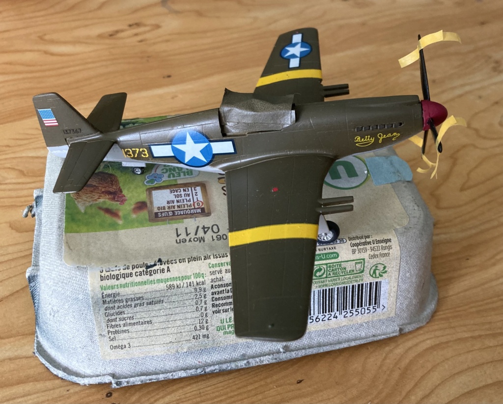 [Condor] P-51 Mustang MkIa "Betty Jean" [FINI] Img_8013