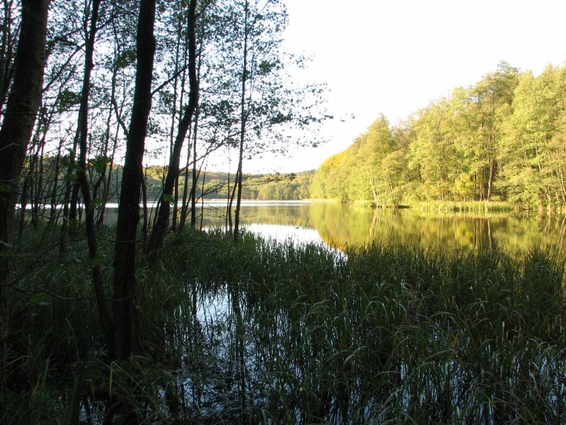 Jezioro Krąpsko Małe Krepsk11