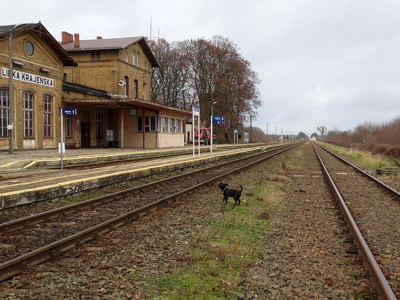 Stacja PKP Lipka Krajeńska Lipka710