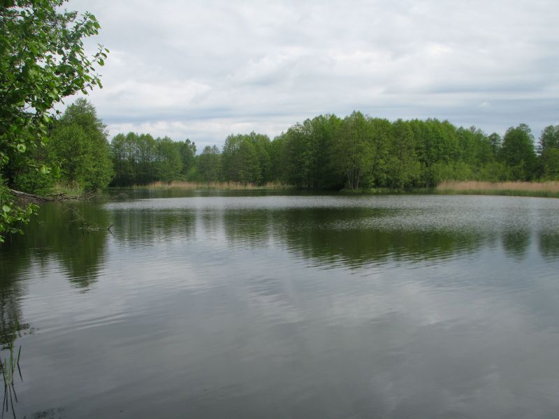 Jezioro Żwirkowe Zwirk810