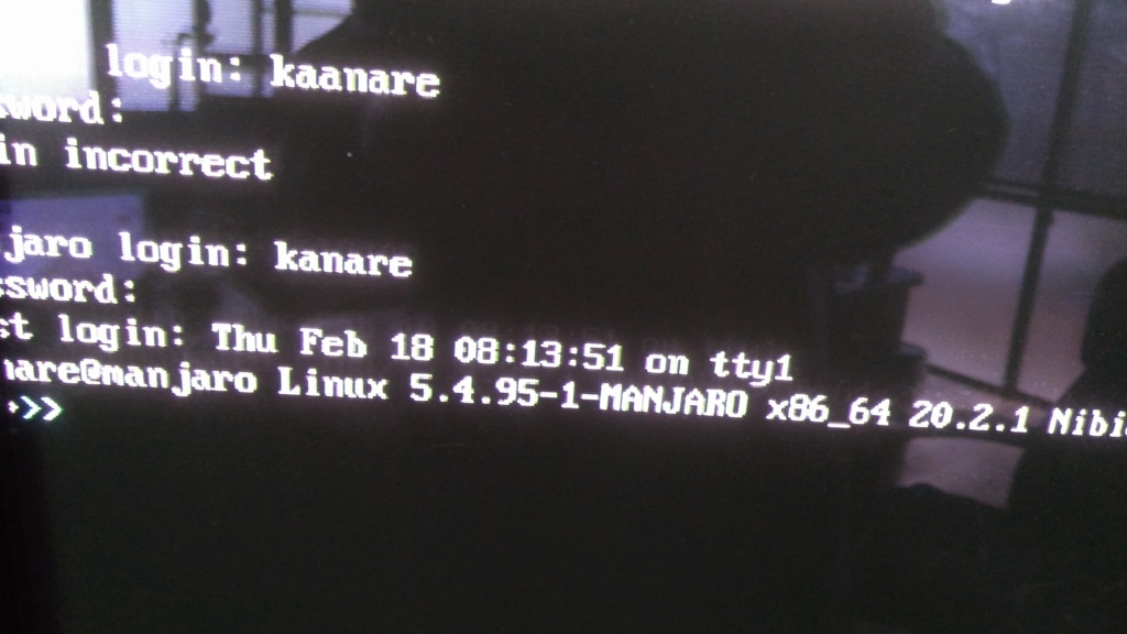 Manjaro Linux problem with tty1 not starting Img_2044