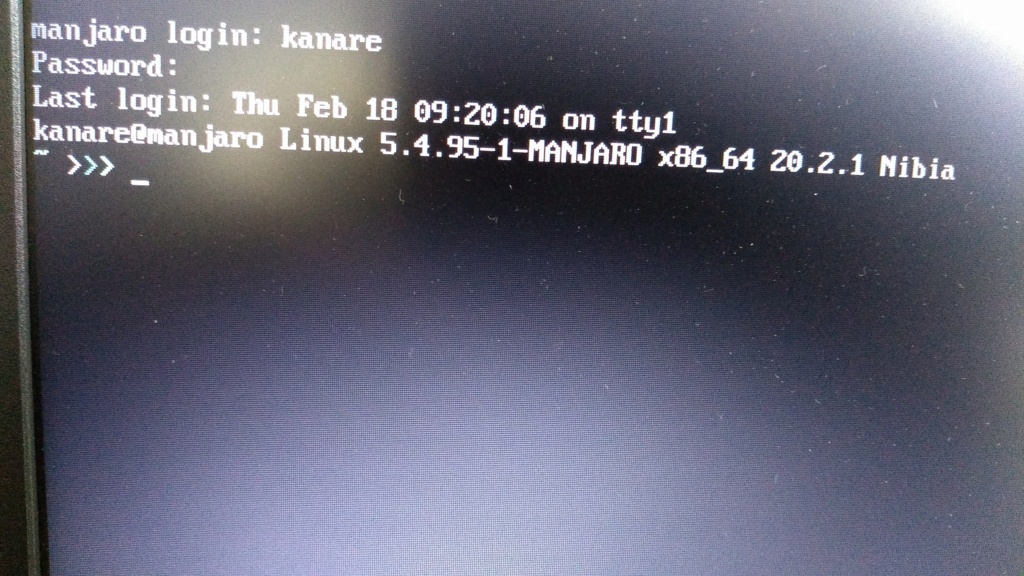 Manjaro Linux problem with tty1 not starting Img_2048