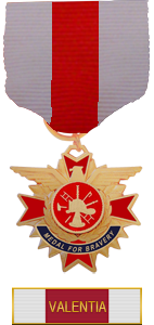 Lista de condecoraciones Medall29