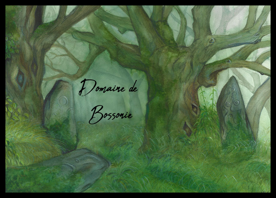 Domaine de Bossonie