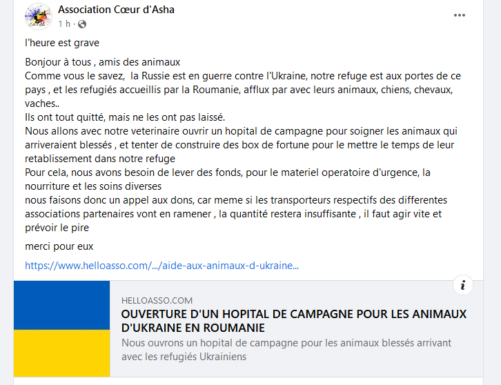 Cœur d'Asha ouvre un hôpital de campagne pour les animaux ukrainiens qui arrivent en Roumanie 210