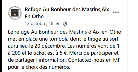 Urgence euthanasie Fourrière Orastie : vous pouvez leur sauver la vie en les parrainant - Page 4 Abm11