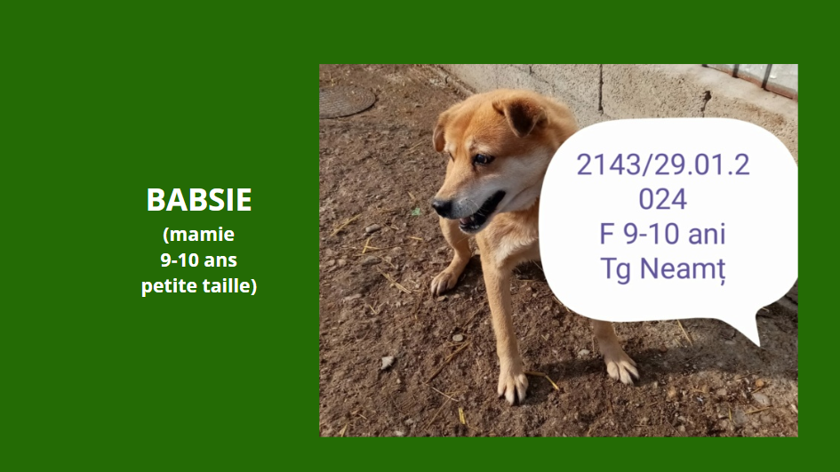 BABSIE / CERISE, 2143, F X, PETITE TAILLE ( PIATRA/FOURRIERE), réservée par Vakanima Babsie10