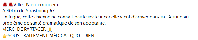 chiens rapatriés qui se sont perdus / échappés : ouvrez l'oeil Captur68