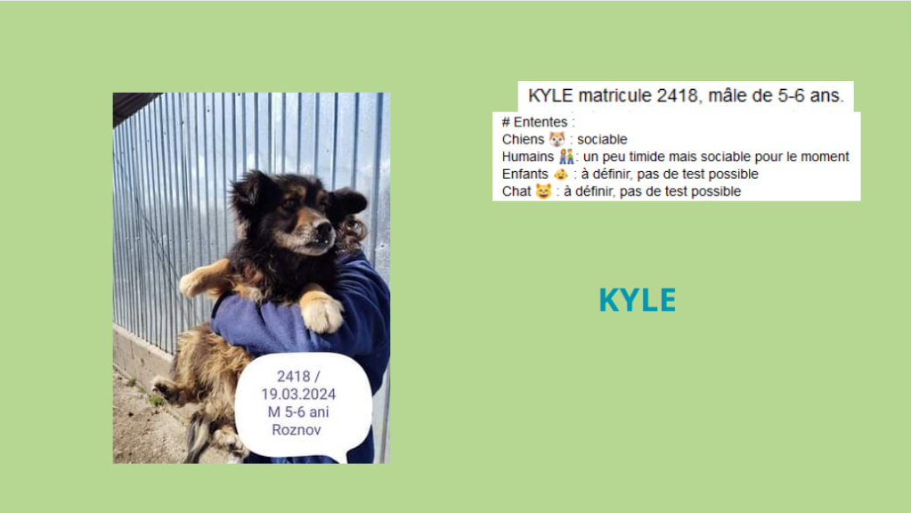 Avril 2024 : les p'tits gars en urgence euthanasie - Page 7 Kyle10