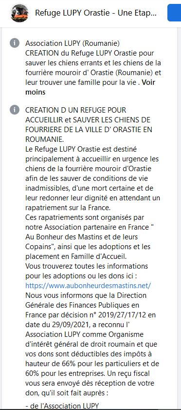 Urgence euthanasie Fourrière Orastie : vous pouvez leur sauver la vie en les parrainant Lupy10