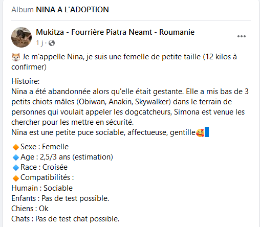 Des bébés et leurs mamans à sauver  - Page 2 Nina10