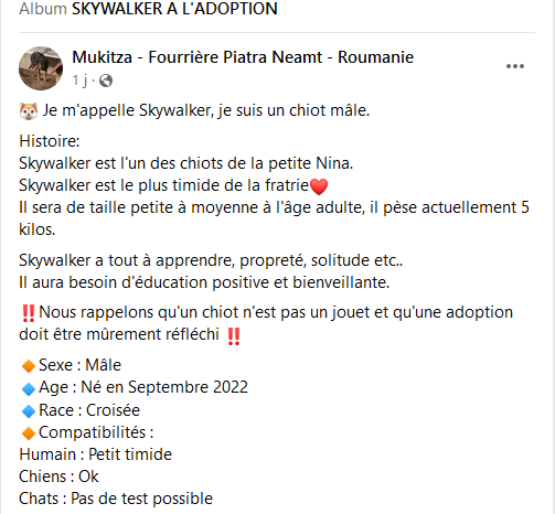 Loulou(te)s de petite taille cherchent foyer d'urgence avant euthanasie et hiver très froid - Page 5 Skywal10