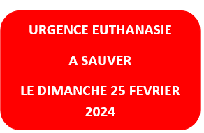 janvier 2024 : les fifilles en extrême urgence euthanasie  - Page 2 Urgen151