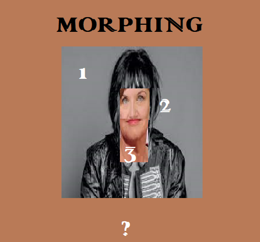 MORPHING - N°24 - AVANT MARDI 18-09 18H - Page 6 Morphi38