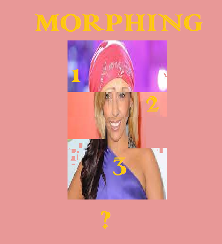 MORPHING - N°24 - AVANT MARDI 18-09 18H - Page 6 Morphi40