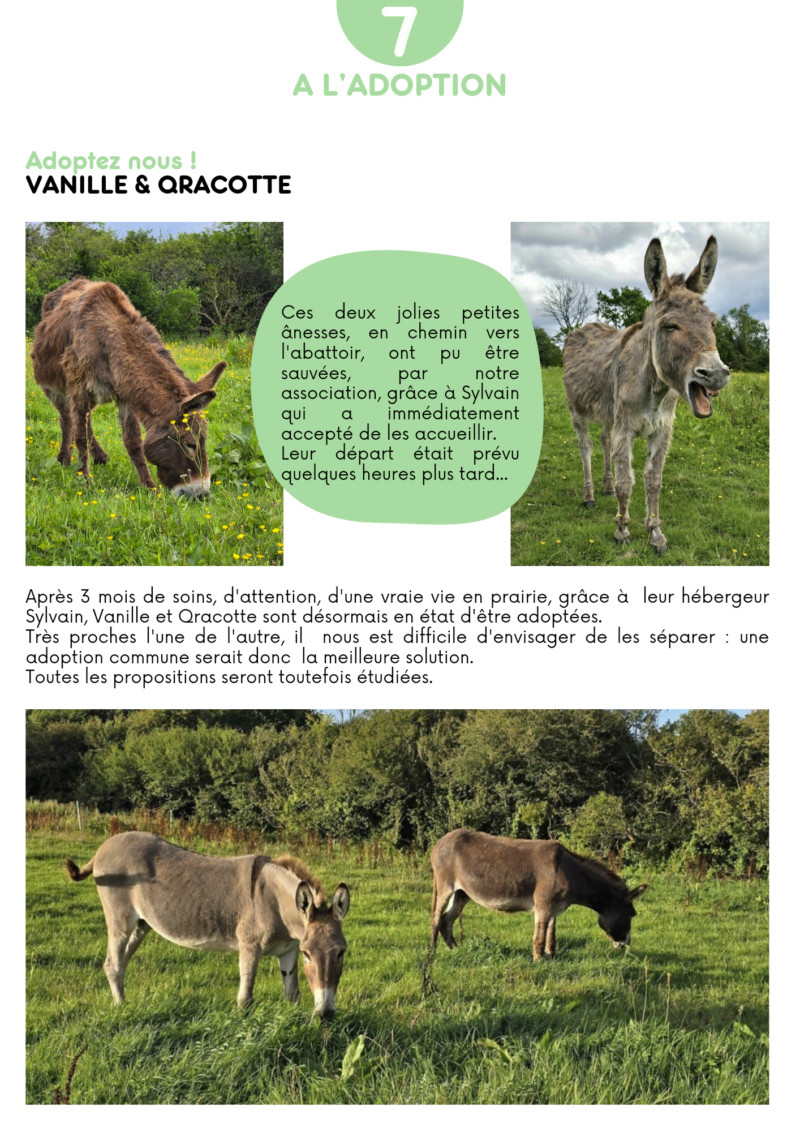 GPLV - Lettre Mensuelle n°139 - Juillet 2024 Nl_gp133