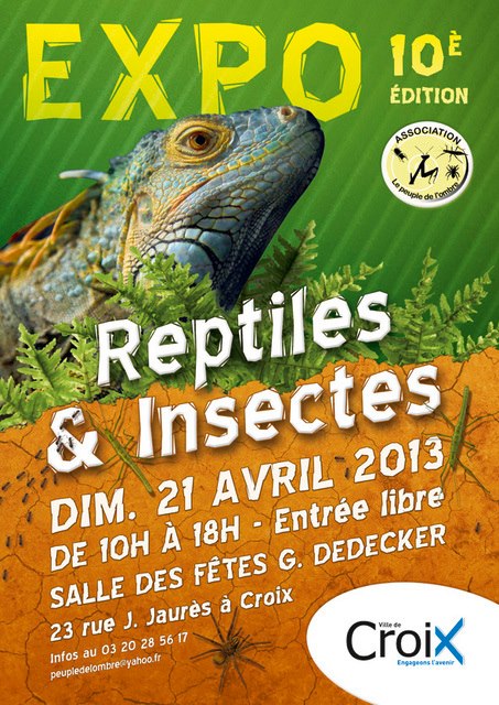 10 ème expo reptiles et insectes à Croix (59) le 21 avril 2013 64480_10