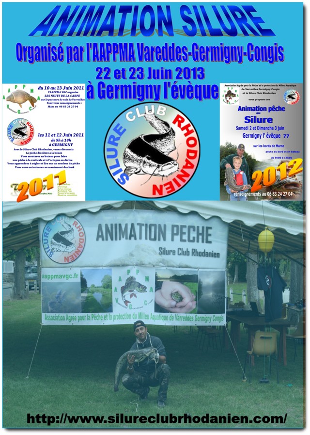 Affiche de l'animation à Germigny le 22 juin 2013 Germig10