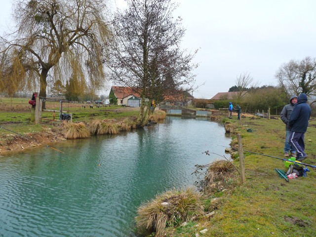 Journée pêche à la truite et plus ... Truite14