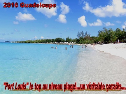 Février 2020 Guadeloupe ! - Page 2 02-20111