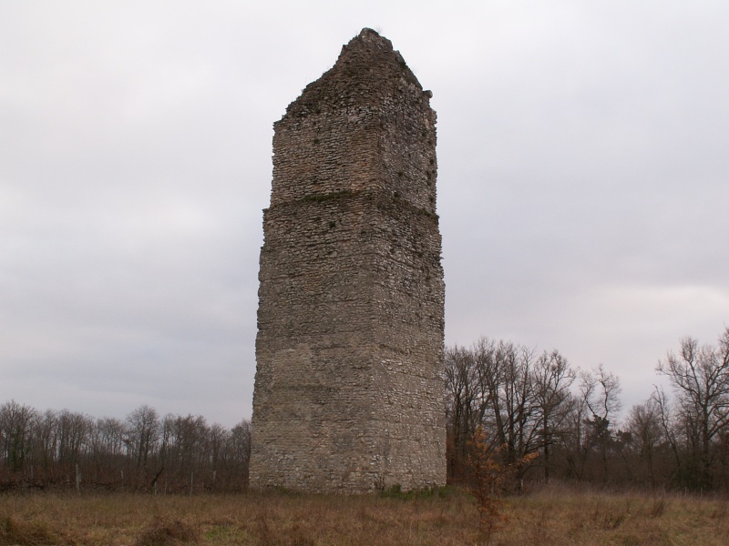 La tour de Pirelonge Pict0050