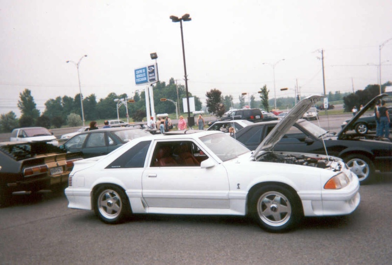 ford - Montréal Mustang: 40 ans et + d’activités! (Photos-Vidéos,etc...) - Page 6 Stangw10
