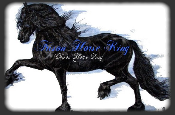 FRISON HORSE KING