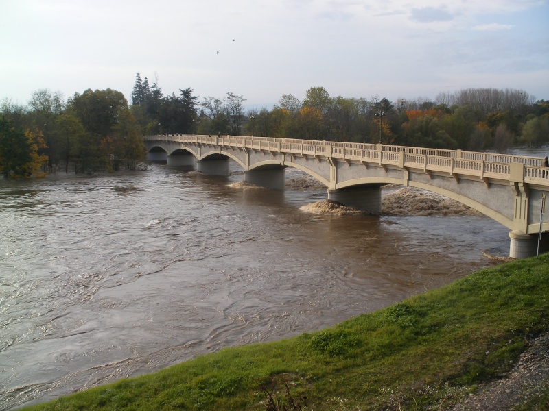 La Loire en crue 2008_011