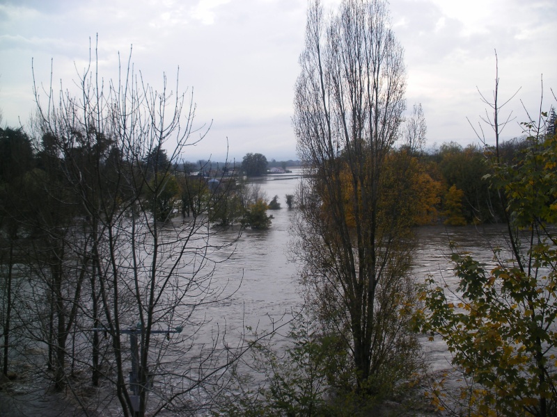 La Loire en crue 2008_013