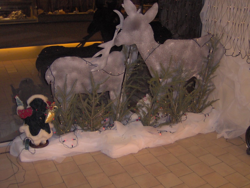 vitrine de noel Im000820