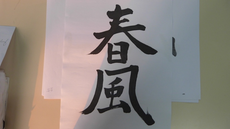 La calligraphie japonaise - Page 3 P1050819