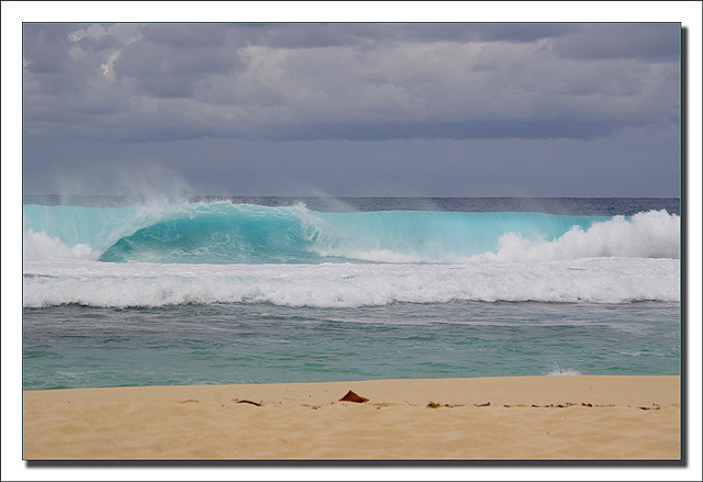 Un peu de turquoise à l'anse Laborde Imgp5110