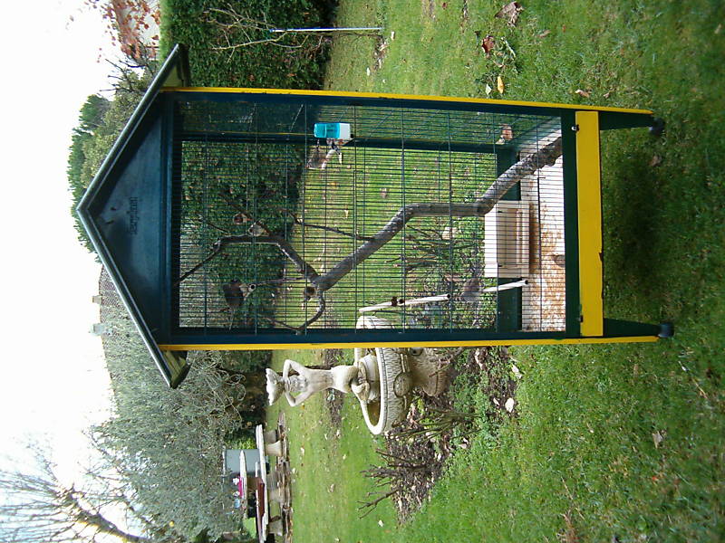 ma cage D546_210