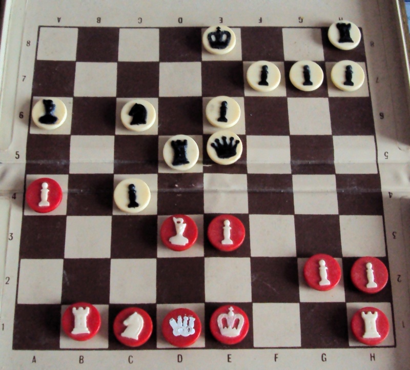 Partie d'échecs Cricri Michel (20) Dsc03630