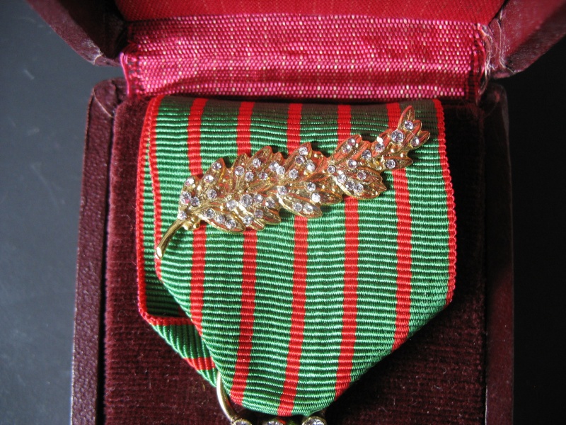 Croix de guerre Img_5836
