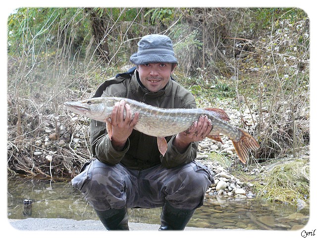 mon premier brochet au leurre !! P1050223